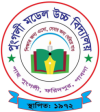 pmhs logo